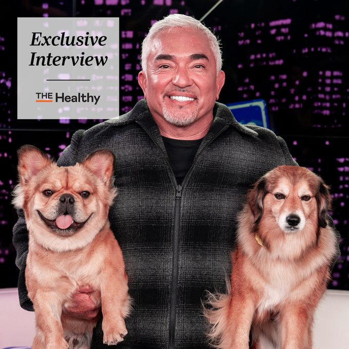 Cesar Millan on the Healing Effects of Companionship
